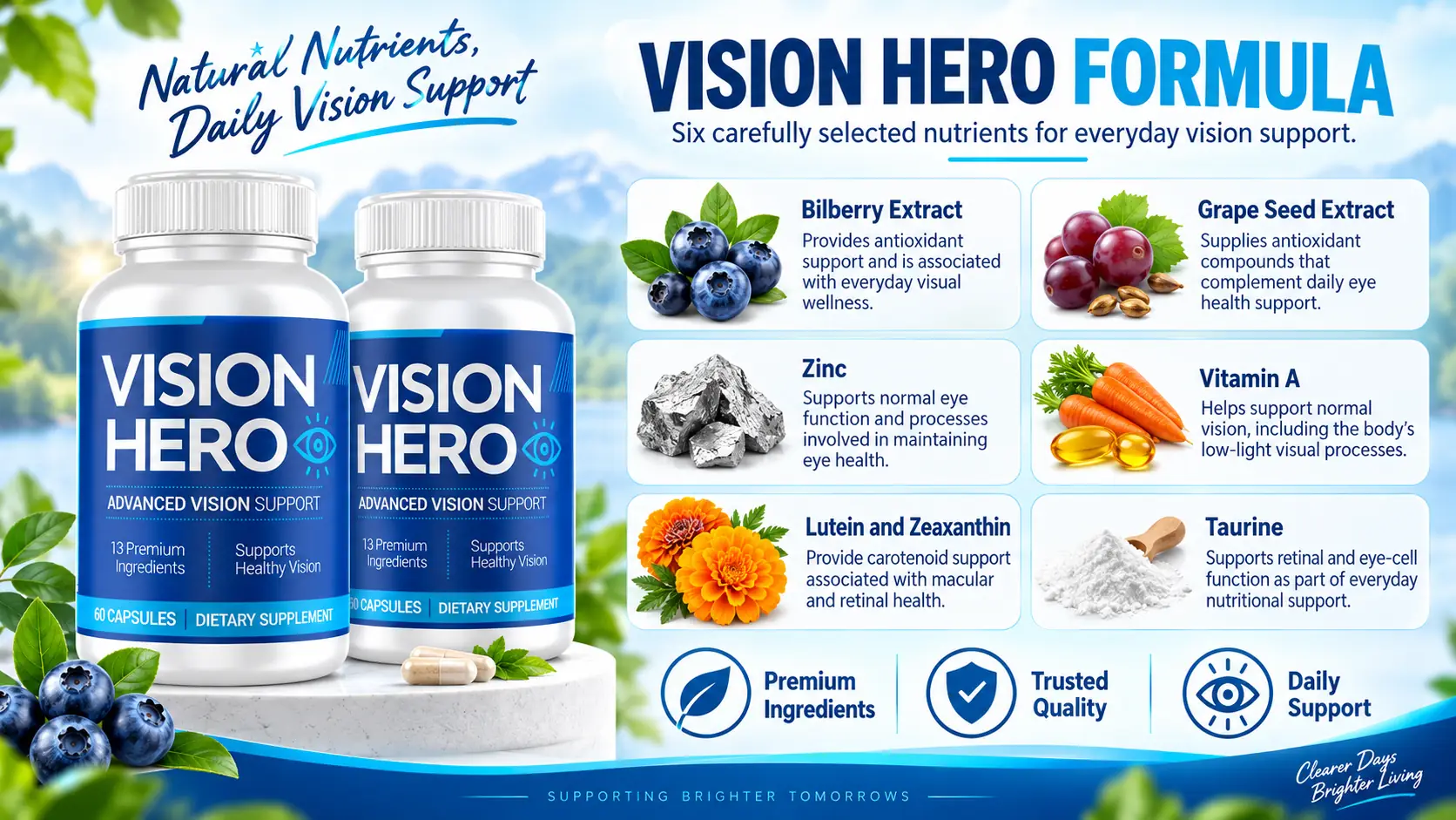 Zinc in Vision Hero
