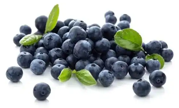 Lutein ingredient information