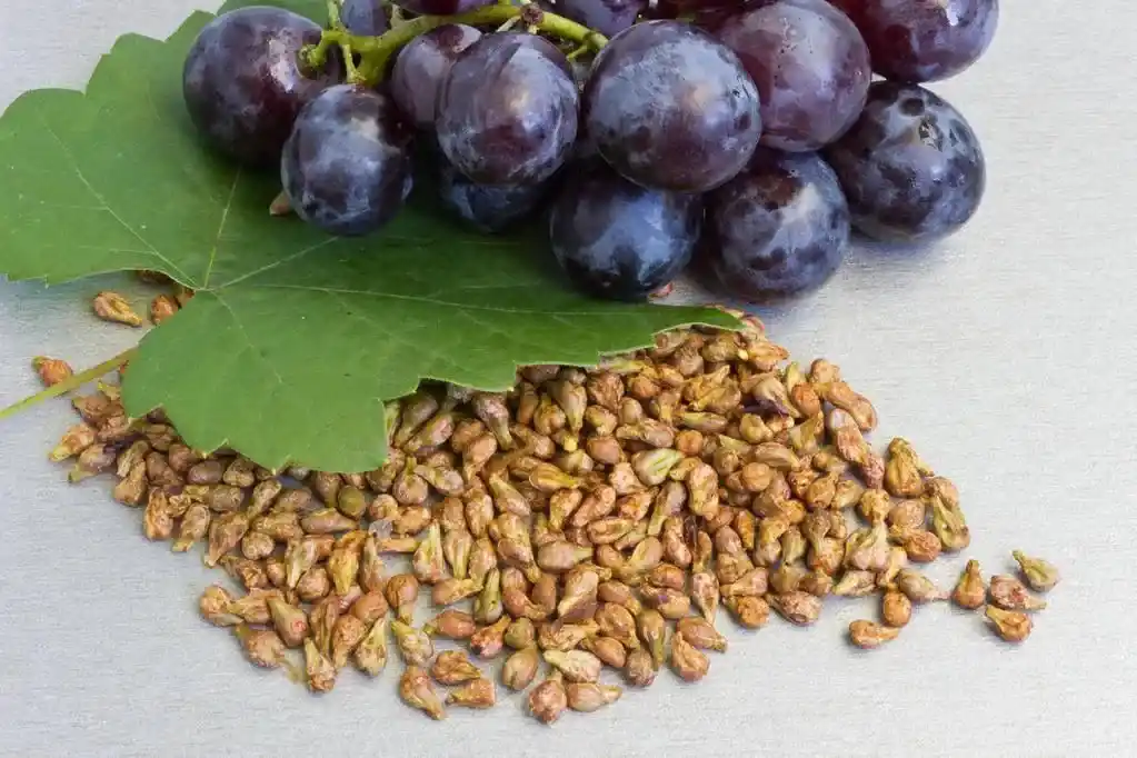 Zeaxanthin ingredient information